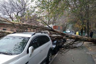 Прикрепленное изображение: 76904784_196347098061292_6492679186367381504_o.jpg